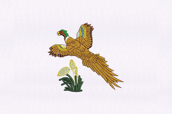A Professional Review of the Flying Macaw Parrot Embroidery Design