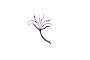 Engagement Ring Flower: A Business-Friendly Embroidery Review